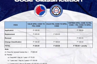 discover-the-cost-of-obtaining-a-drivers-license-fees-and-expenses-explained